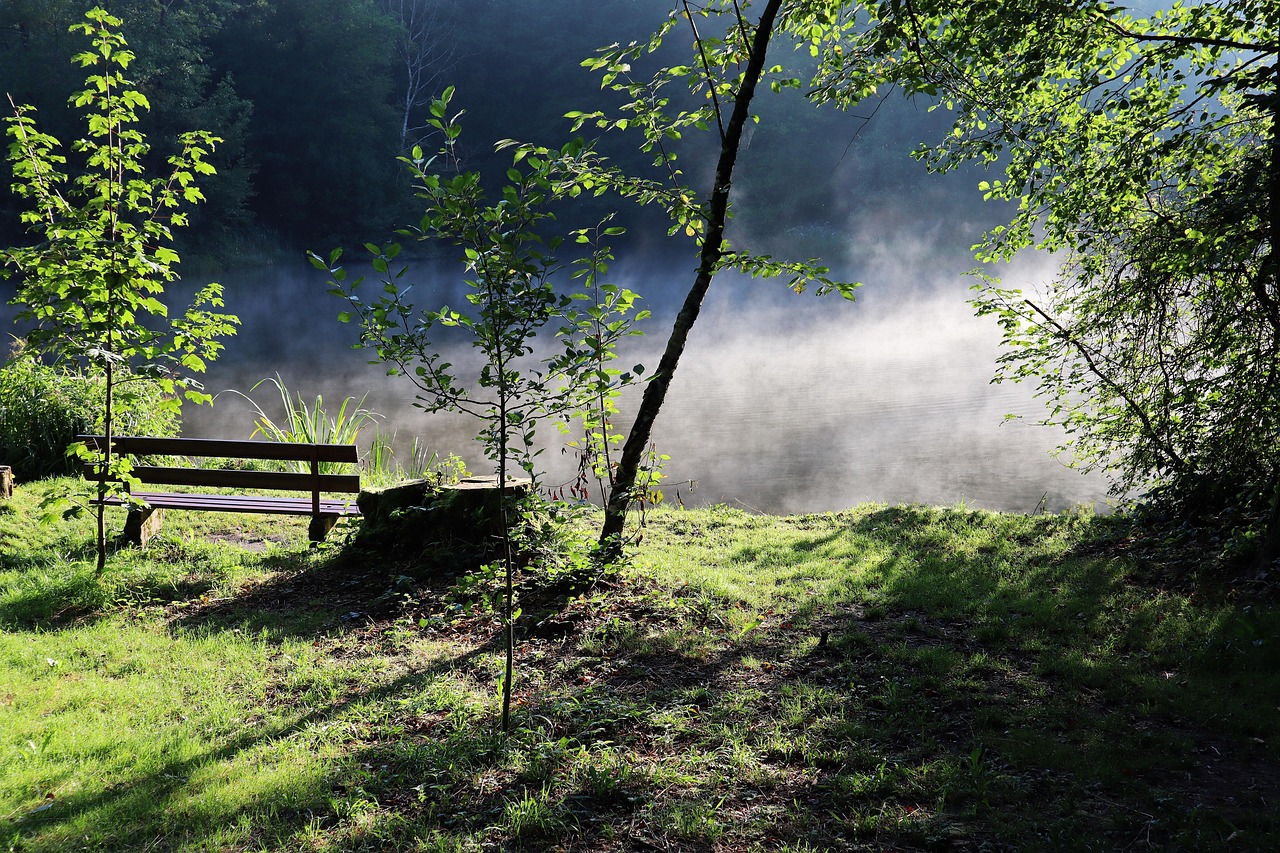 Seelische Gesundheit und Selbstregulation